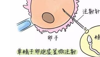 2026武汉生殖中心医院排名前十的有哪些？