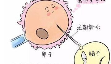 十堰市人民医院洗精费用多少钱？试管婴儿移植成功后检查流程有哪些？