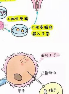 合肥优质试管婴儿医院推荐